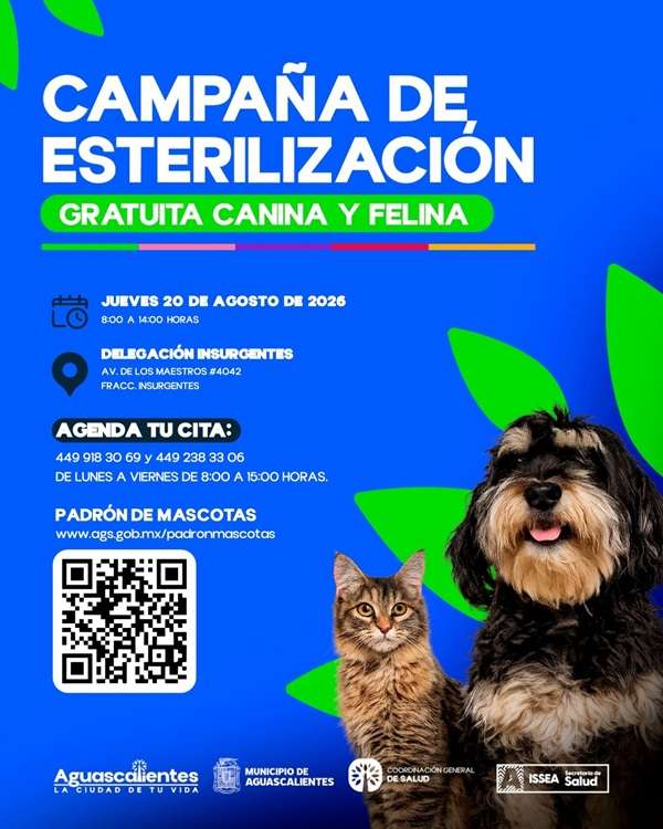 Esterilizacion-editable-20-AGO