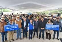 TERE JIMÉNEZ APOYA A PRODUCTORES DE TODOS LOS MUNICIPIOS CON SEMILLA DE AVENA PARA ALIMENTAR A SU GANADO