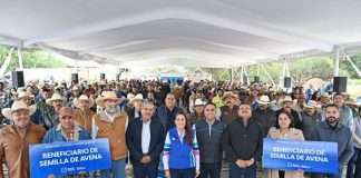 TERE JIMÉNEZ APOYA A PRODUCTORES DE TODOS LOS MUNICIPIOS CON SEMILLA DE AVENA PARA ALIMENTAR A SU GANADO